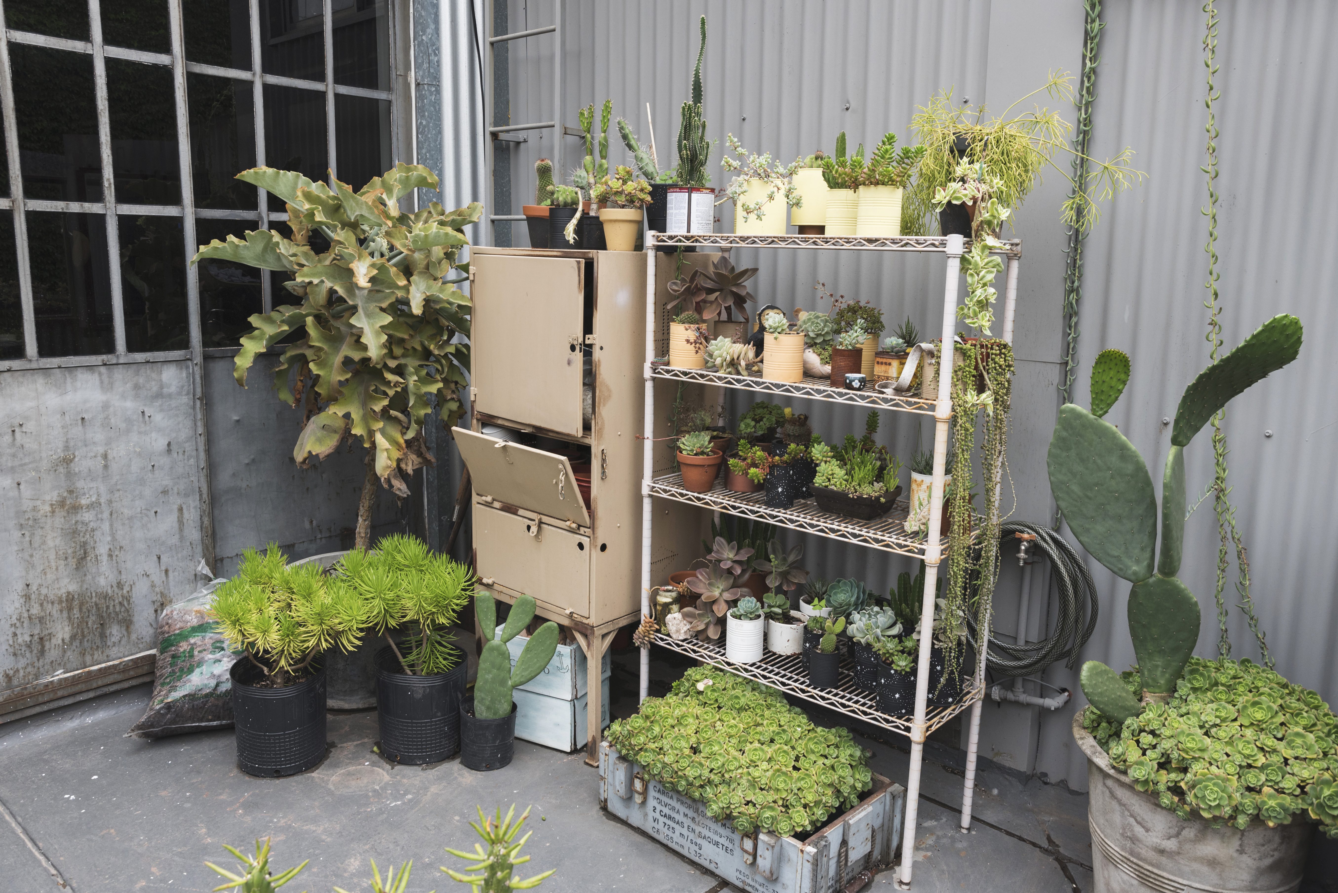 Jardín trasero con estanterías de metal y macetas pequeñas y grandes Bodega Guadalajara